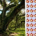 Μόνο το 2% των ιδιοφυιών θα βρει τη λέξη "δέντρο" σε 10 δευτερόλεπτα: ένα εκπληκτικό παιχνίδι γρίφων Μόνο το 2% των ιδιοφυιών θα βρει τη λέξη “δέντρο”