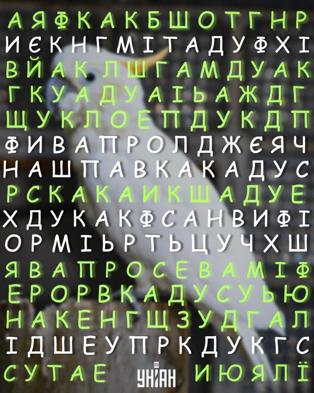 Moje κολάζ Κολάζ Moje