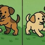 Τεστ IQ: βρείτε 3 διαφορές στις εικόνες δύο κουταβιών σε 51 δευτερόλεπτα Τεστ IQ: βρείτε 3 διαφορές στις εικόνες δύο κουταβιών σε