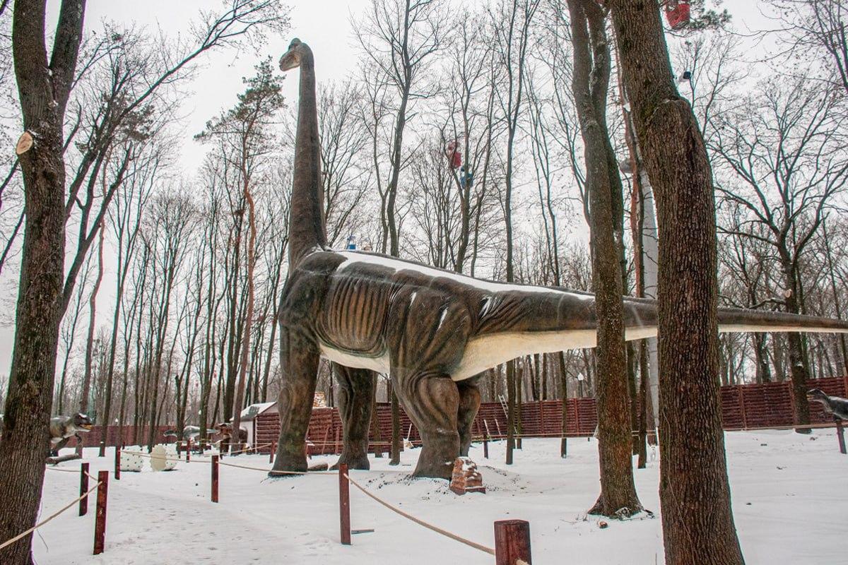 Βρείτε έναν σκύλο στο χιόνι σε 10 δευτερόλεπτα / Κολάζ Moje