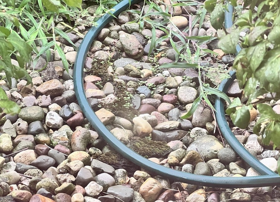 Οπτική ψευδαίσθηση: Βρείτε τον κρυμμένο βάτραχο