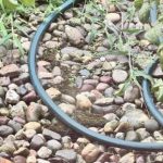 Ενδιαφέρον τεστ IQ: προσπαθήστε να βρείτε τον κρυμμένο βάτραχο σε μόλις 5 δευτερόλεπτα Ενδιαφέρον τεστ IQ: προσπαθήστε να βρείτε τον κρυμμένο βάτραχο σε