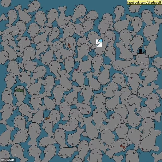 Ένας γρίφος για άτομα με κοφτερή όραση: βρείτε το ζαχαρωτό ανάμεσα στις φώκιες σε 11 δευτερόλεπτα