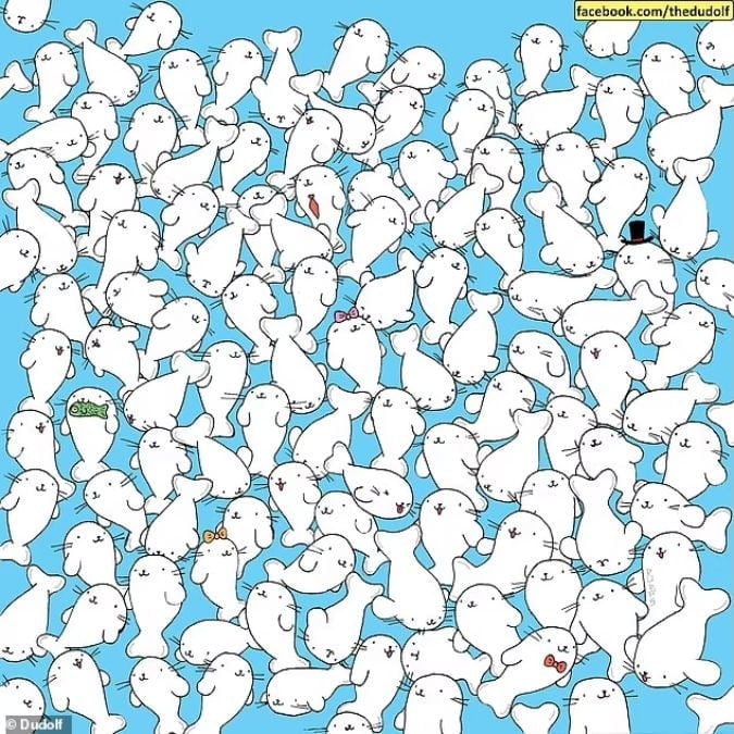 Ένας γρίφος για άτομα με καλή όραση: βρείτε το ζαχαρωτό ανάμεσα στις φώκιες σε 11 δευτερόλεπτα.