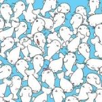 Ένα παζλ για άτομα με προβλήματα όρασης: βρείτε το ζαχαρωτό