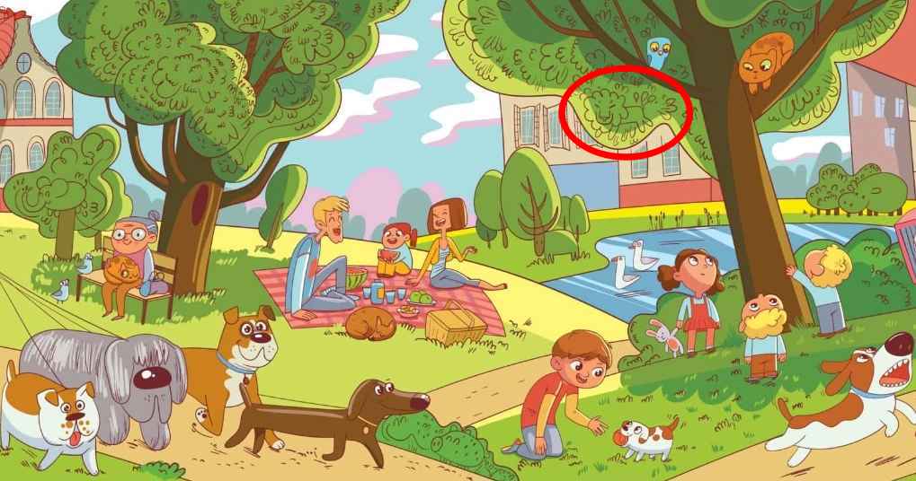 Αυτό είναι ένα έργο που μόνο λίγοι άνθρωποι μπορούν να κάνουν: πρέπει να βρείτε το λιοντάρι στο πάρκο σε 6 δευτερόλεπτα