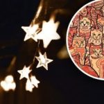 Οπτική ψευδαίσθηση για άτομα με αετίσια όραση: πρέπει να βρείτε ένα αστέρι ανάμεσα στις γάτες Οπτική ψευδαίσθηση για άτομα με αετίσια όραση: πρέπει να βρείτε