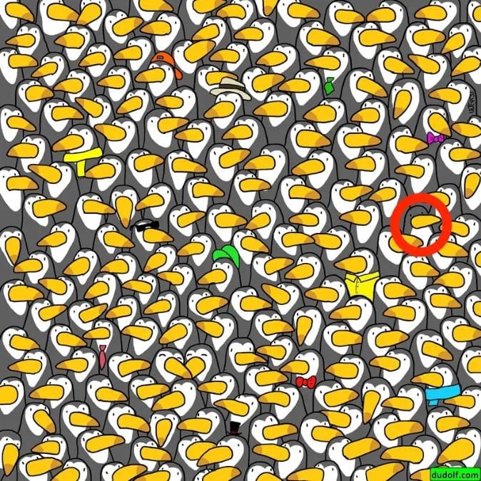 Ένας γρίφος για μεγαλοεγκεφάλους: μόνο λίγοι θα βρουν τον πιγκουίνο σε 30 δευτερόλεπτα