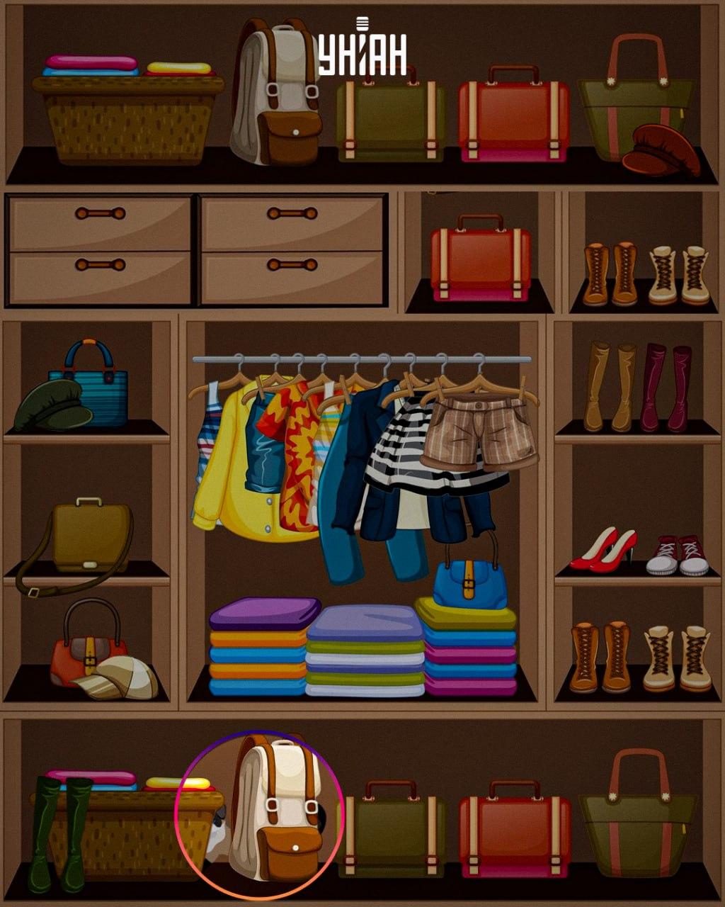 Το πονηρό ζώο τοποθετήθηκε στο κάτω μέρος της εικόνας / κολάζ Moje