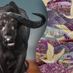 Βρείτε τον ταύρο στην εικόνα σε 15 δευτερόλεπτα: ένας γρίφος