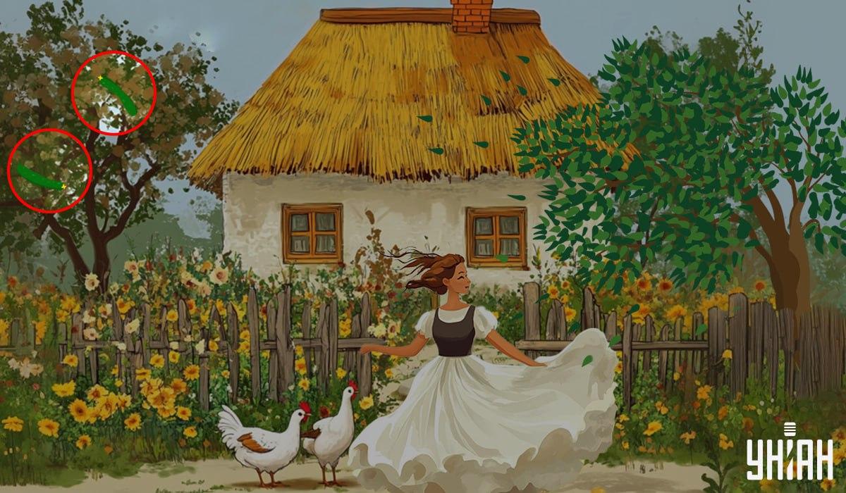 απάντηση / Moje photo