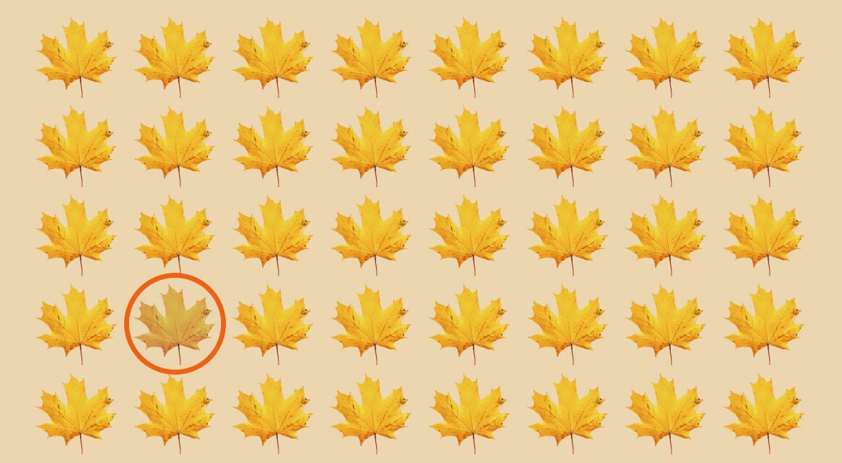 Οπτική ψευδαίσθηση