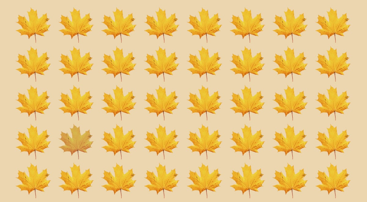 Οπτική ψευδαίσθηση