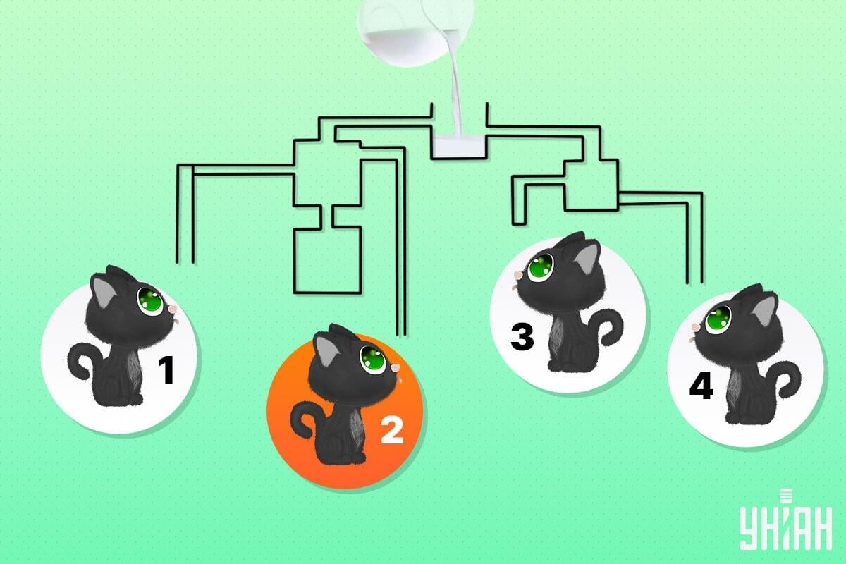 Η τυχερή γάτα ήταν ο αριθμός 2 / Moje κολάζ