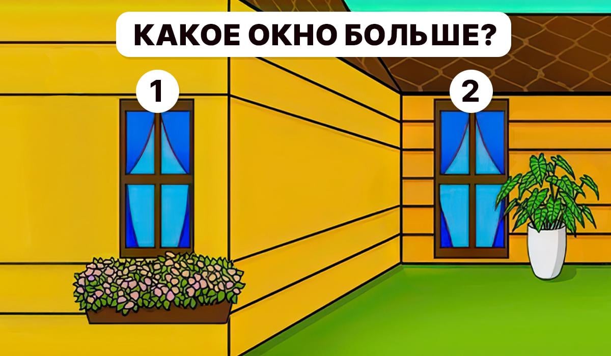 Είναι απαραίτητο να καταλάβετε ποιο παράθυρο είναι μεγαλύτερο / Κολάζ Moje
